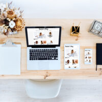 ホームページ健康診断のご案内 ホームページ健康診断のご案内